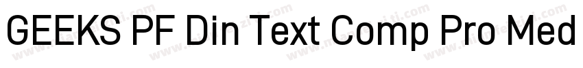 GEEKS PF Din Text Comp Pro Medium字体转换